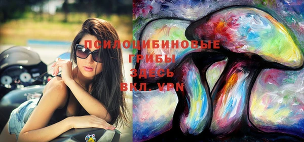 спиды Магас