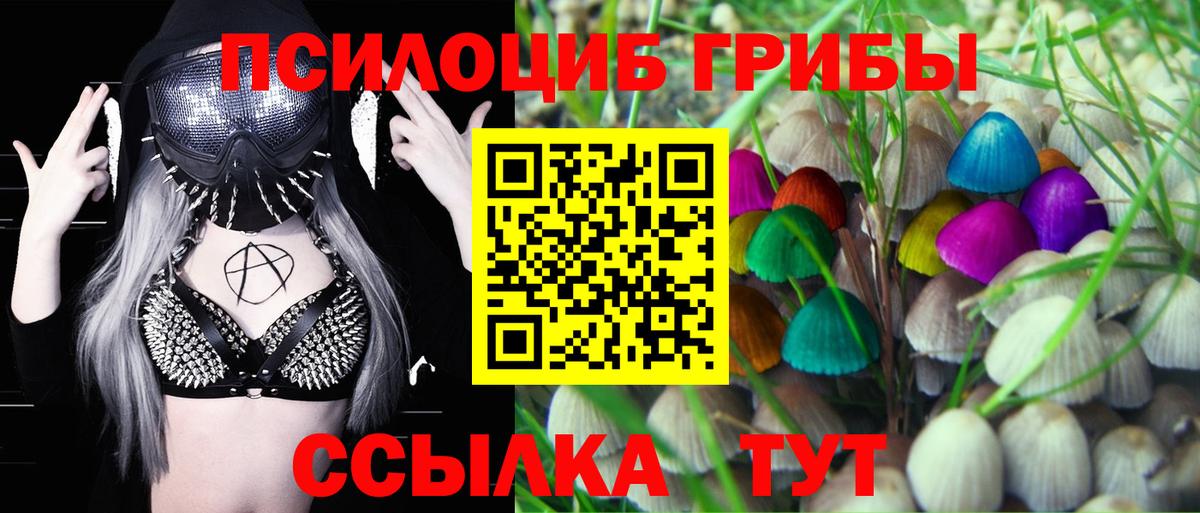 Галлюциногенные грибы мицелий Мелеуз